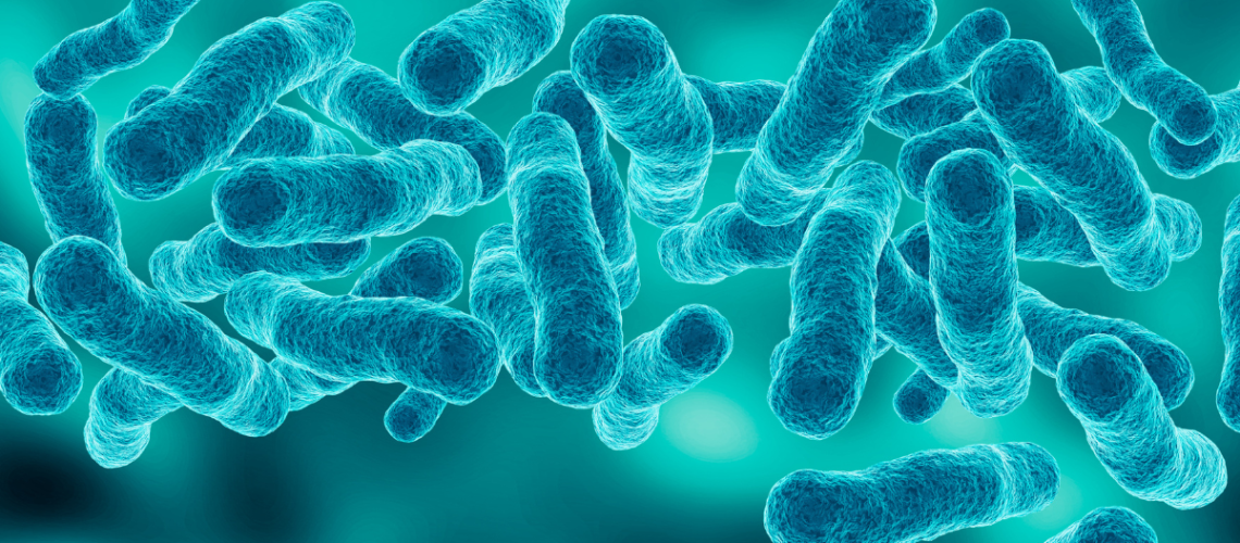 Biofilm Legionella